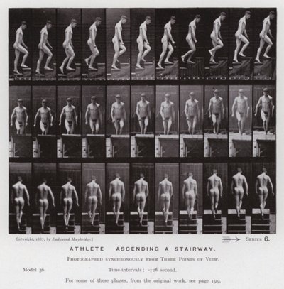 Ihmishahmo liikkeessä: Urheilija, nousemassa portaita pitkin (m/w kuva) tekijältä Eadweard Muybridge