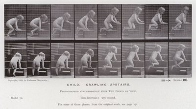 Ihmishahmo liikkeessä: Lapsi ryömii yläkertaan (m/w kuva) tekijältä Eadweard Muybridge