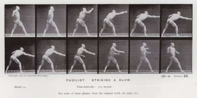 Ihmishahmo liikkeessä: Pugilist, iskee iskun (m/w kuva) tekijältä Eadweard Muybridge