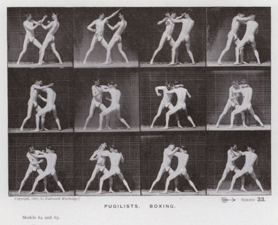 Ihmishahmo liikkeessä: Pugilistit, nyrkkeily (m/v kuva) tekijältä Eadweard Muybridge