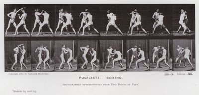 Ihmishahmo liikkeessä: Pugilistit, nyrkkeily (m/v kuva) tekijältä Eadweard Muybridge