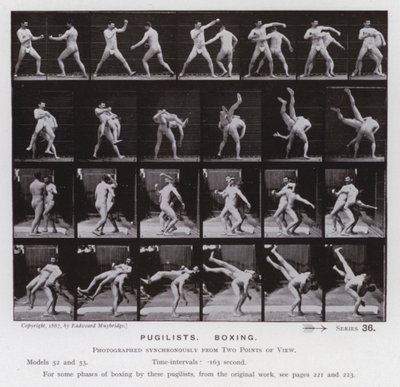 Ihmishahmo liikkeessä: Pugilistit, nyrkkeily (m/v kuva) tekijältä Eadweard Muybridge