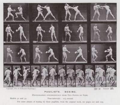 Ihmishahmo liikkeessä: Pugilistit, nyrkkeily (m/v kuva) tekijältä Eadweard Muybridge