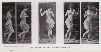 Ihmishahmo liikkeessä: Valitut vaiheet sarjasta 55 (m/v kuva) tekijältä Eadweard Muybridge