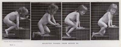 Ihmishahmo liikkeessä: Valitut vaiheet sarjasta 86 (m/v kuva) tekijältä Eadweard Muybridge