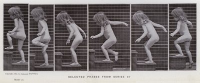 Ihmishahmo liikkeessä: Valitut vaiheet sarjasta 87 (m/v kuva) tekijältä Eadweard Muybridge
