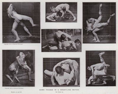 Ihmishahmo liikkeessä: Joitakin vaiheita painiottelussa (m/w kuva) tekijältä Eadweard Muybridge