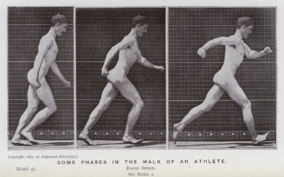 Ihmishahmo liikkeessä: Jotkut urheilijan kävelyn vaiheet (m/w kuva) tekijältä Eadweard Muybridge