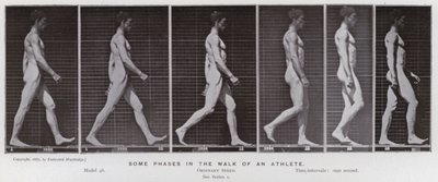 Ihmishahmo liikkeessä: Jotkut urheilijan kävelyn vaiheet (m/w kuva) tekijältä Eadweard Muybridge