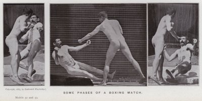 Ihmishahmo liikkeessä: Nyrkkeilyottelun eräitä vaiheita (m/v kuva) tekijältä Eadweard Muybridge
