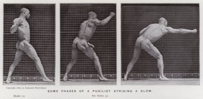 Ihmishahmo liikkeessä: Joitakin vaiheita pugilistin iskemisestä (m/w kuva) tekijältä Eadweard Muybridge