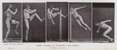 Ihmishahmo liikkeessä: Jotkin korkeushypyt juoksemisen vaiheet (m/w kuva) tekijältä Eadweard Muybridge