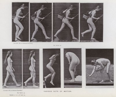 Ihmishahmo liikkeessä: Erilaisia liiketoimia (m/w kuva) tekijältä Eadweard Muybridge