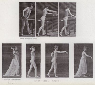 Ihmishahmo liikkeessä: erilaisia heittoja (m/w kuva) tekijältä Eadweard Muybridge