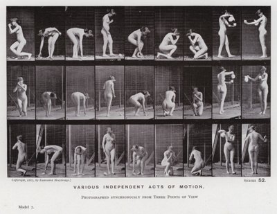 Ihmishahmo liikkeessä: Erilaisia itsenäisiä liiketoimia (m/w kuva) tekijältä Eadweard Muybridge
