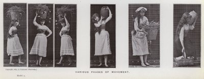 Ihmishahmo liikkeessä: liikkeen eri vaiheita (m/w kuva) tekijältä Eadweard Muybridge