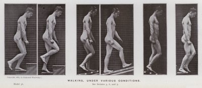 Ihmishahmo liikkeessä: Kävely, eri olosuhteissa (m/w kuva) tekijältä Eadweard Muybridge