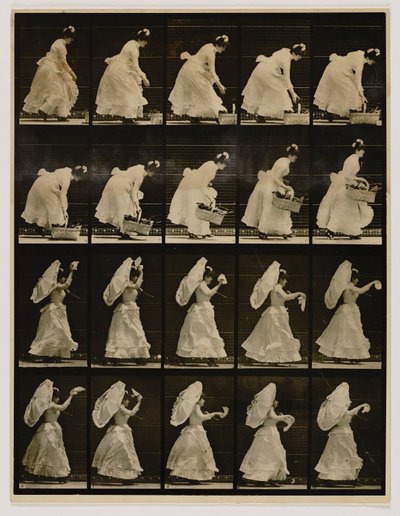 Nainen nostaa koria, heiluttaa nenäliinaa, kirjasta Animal Locomotion (Eläinten liikkuminen). tekijältä Eadweard Muybridge