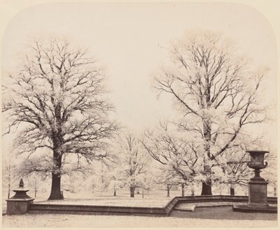 Huurre, puistokohtaus,1862 (kuva) tekijältä Earl of Caithness