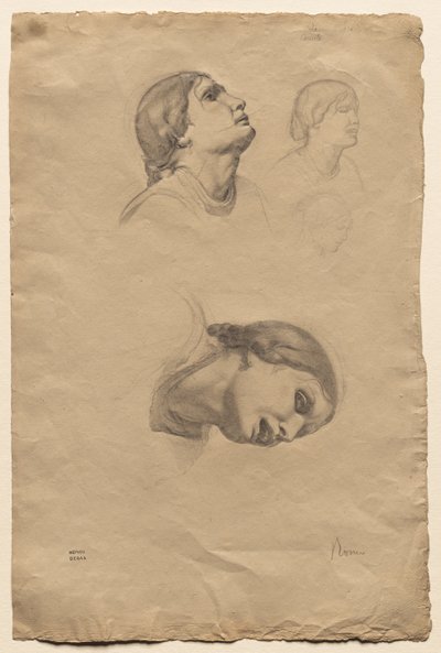 Neljä tutkimusta nuoren italialaisen naisen päästä, 1856. tekijältä Edgar Degas
