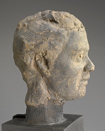 Pää, Study for a Portrait of Mme Salle, n. 1892 (savi, metalliarmatuuri, puisella alustalla) tekijältä Edgar Degas