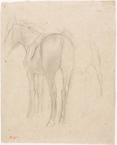 Hevosen opintoja tekijältä Edgar Degas