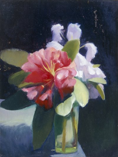 Rhododendronit tekijältä Edgar Herbert Thomas