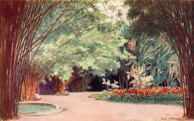 Bamboo Grove, kasvitieteellinen puutarha (väri litho) tekijältä Edgar L. Pattison