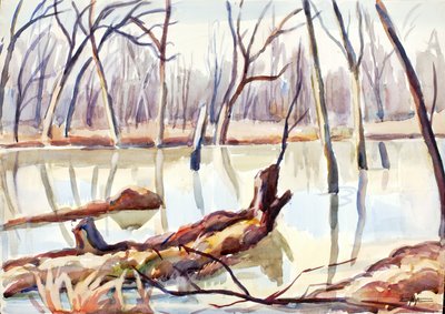 Rock Creek, talvi, n. 1920-1929. tekijältä Edgar Nye
