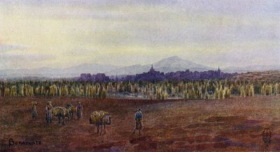Pohjois-Espanja: Benavente, Castro Gonzalon sillan ylhäältä (väri litho) tekijältä Edgar T. A. Wigram