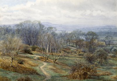 Hampstead Heath Looking Towards Harrow on the Hill, n. 1880 (wc paperilla) tekijältä Edith Martineau
