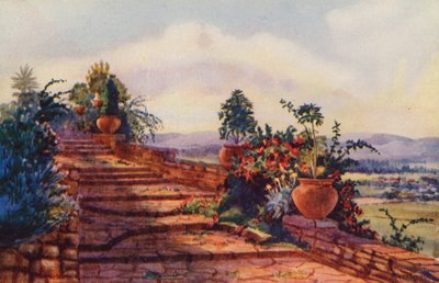 The Steps at Government House, Pretoria (väri litho) tekijältä Edith Struben