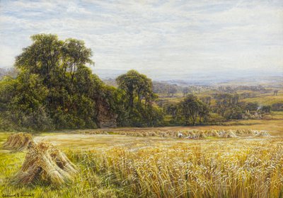 Sadonkorjuun aika (akvarelli) tekijältä Edmund George Warren