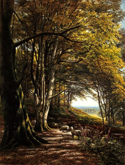 Lampaat laiduntavat metsäaukiolla (akvarelli ja vartaloväri paperille) tekijältä Edmund George Warren