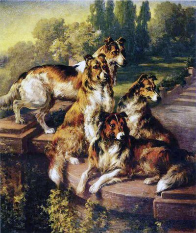 Collies tekijältä Edmund Henry Osthaus