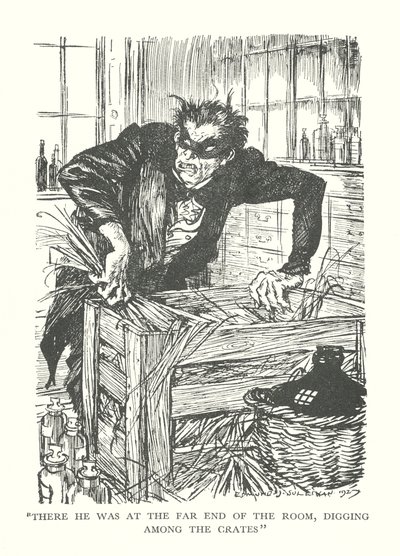Kuvitus R. L. Stevensonin teokseen Tohtori Jekyllin ja herra Hyden outo tapaus (litografia). tekijältä Edmund Joseph (after) Sullivan