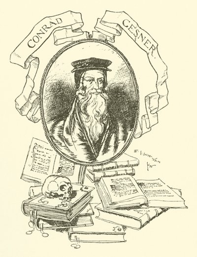 Conrad Gesner tekijältä Edmund Joseph after Sullivan