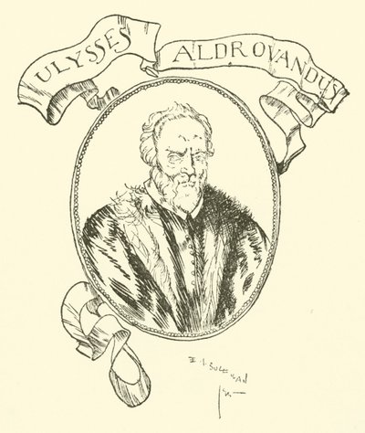 Ulysses Aldrovandus tekijältä Edmund Joseph after Sullivan