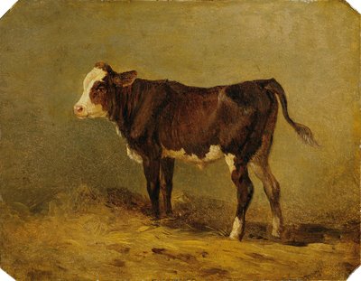 vasikka tekijältä Edmund Mahlknecht