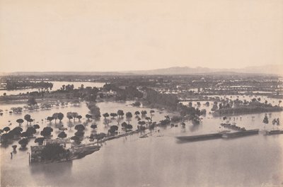 Avignon (Vuoden 1856 tulva) tekijältä Edouard-Denis Baldus