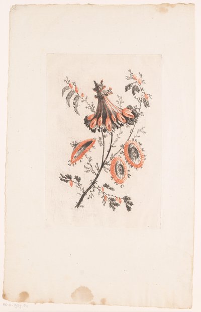 Auringonvarjon muotoiset kukat Fleurs Idealle (sarjan nimi) tekijältä Edouard Gautier Dagoty