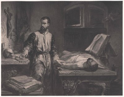Andrew Vesalius tekijältä Edouard Jean Conrad (after) Hamman