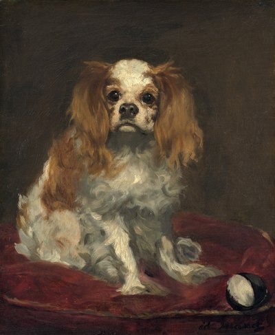 King Charles Spaniel, n. 1866. tekijältä Édouard Manet