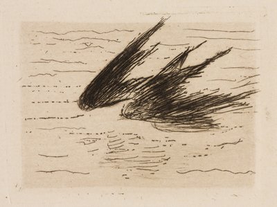 Pääskyset, levy 8 Le Fleuve -lehdestä tekijältä Édouard Manet