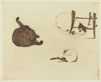 The Cats Les chatit, 1869. tekijältä Édouard Manet
