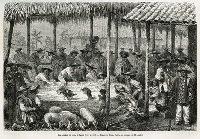 Kukotappelu ja katuanimaatio Ibaguessa (Kolumbia), Rioun piirustus kuvaamaan tarinaa Equinoxiale Americasta (Kolumbia, Ecuador, Peru), vuosina 1875-1876, kirjoittanut toim. andre, Ranskan hallituksen matkustusvastuumaksu. Kaiverrus kirjassa Le tour du mond tekijältä Edouard Riou