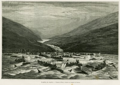 Delfiinien kalastus. Rioun kaiverrus tarinan havainnollistamiseksi Kuukausi Färsaarten saaristossa (Färsaaret, Tanska), H.Labonne, in le tour du monde 1887, ohjaaja Edouard Charton (1807-1890), Hachette, Pariisi. tekijältä Edouard Riou