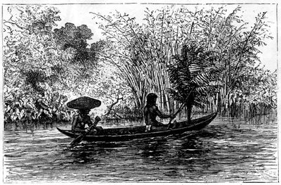 Korsu Essequibo-joessa, Guyana, 1800-luku tekijältä Edouard Riou