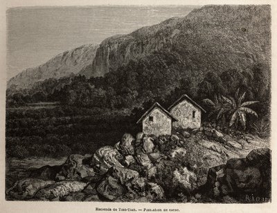 Hacienda, Tian Tian, Peru ja kaakaoviljelmä, piirustus Riou, havainnollistamaan Paul Marcoyn matkaa Etelä-Amerikan halki vuosina 1848–1860. Kaiverrus kirjaan "" Le tour du monde", toimittanut Edouard Charton tekijältä Edouard Riou