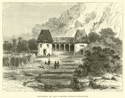 Hacienda of Los Camotes, makeat perunat tekijältä Edouard Riou